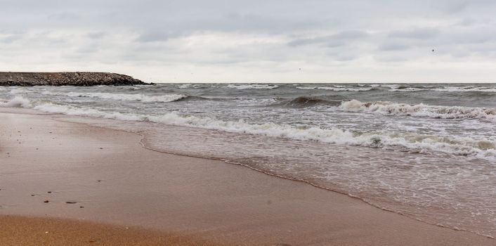 Huge waves raging in the sea and seagulls in the spray of waves. Storm at sea. Birds fly over the waves. Nature, environment, rough weather, danger