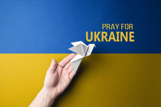 hand releases white paper dove against background of yellow and blue flag of ukraine with words pray for Ukraine