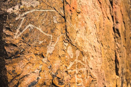 Archaeological rock carvings of animals. Petroglyphs on stones close up.