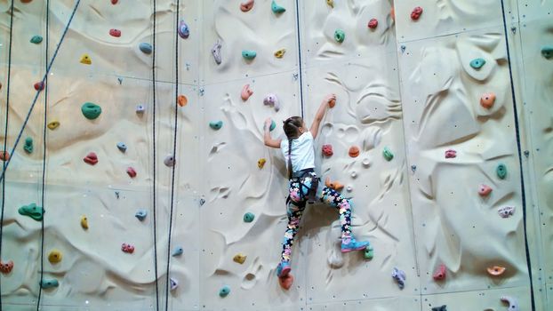 child climbs on a special wall for mountaineering. the girl of seven years in safety equipment is engaged in rock climbing on a special training vertical wall,. High quality photo