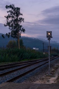 Landscape with eucalyptus tree and railway tracks against hills in fog early morning