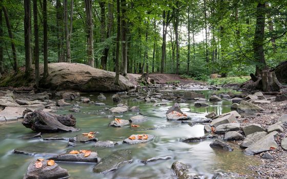 Panoramic image of idyllic creek during autumn season, Bergisches Land, Germany