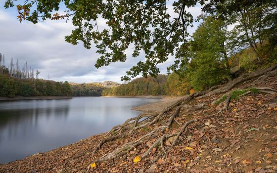 Panoramic image of Agger lake close to Gummersbach in evening light during autumn, Bergisches Land, Germany