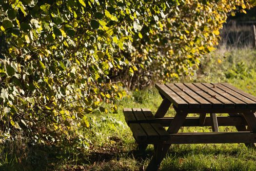 Place in the park for picnic and relaxation. Wooden table and benches.