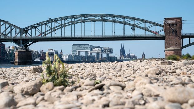 Low water of the Rhine river in Cologne, drought in Germany