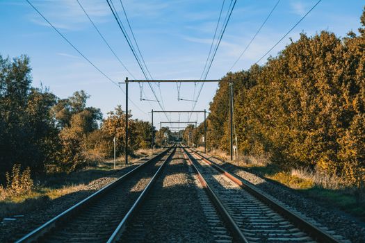 Railroad perspective view in forest with blue sky. Railway line looking down into distance