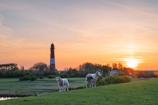 Panoramic image of Pellworm lighthouse against sunrise, North Frisia, Germany 