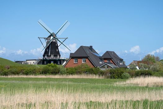 Panoramic image of the windmill of Pellworm against blue sky, North Frisia, Germany