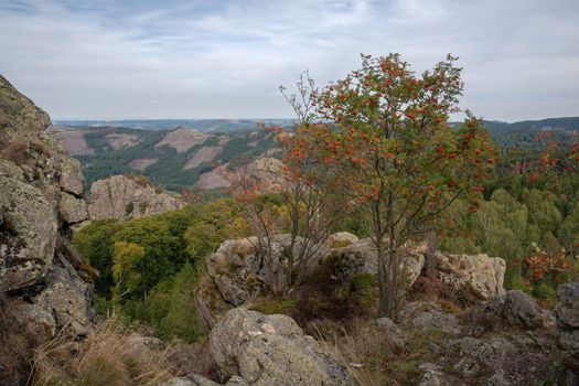 Panoramic landscape image, beautiful scenery of Rothaar Mountains close to Willingen, Sauerland, Germany 