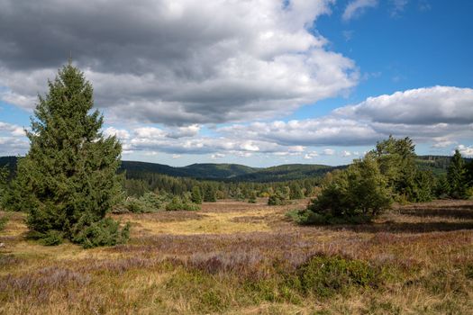 Panoramic landscape image, beautiful scenery of Rothaar Mountains close to Willingen, Sauerland, Germany 