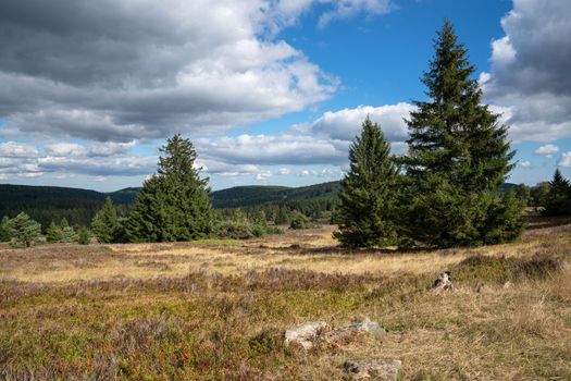 Panoramic landscape image, beautiful scenery of Rothaar Mountains close to Willingen, Sauerland, Germany 