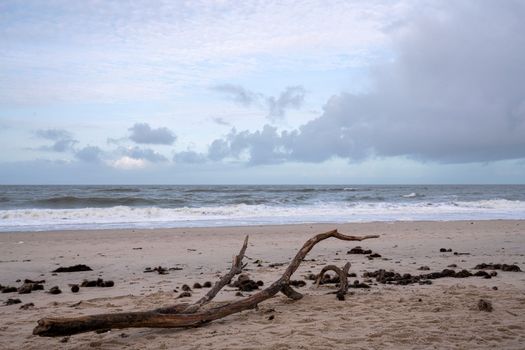 Panoramic image of the landscape along beach of Sylt, North Frisia, Germany 