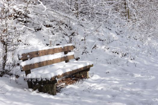 A road goes into a distance in snowy winter park at freezing cold day without people. Walking path in city park with bare branched trees. A wooden benches covered with snow. A place for walks outdoors. High quality photo