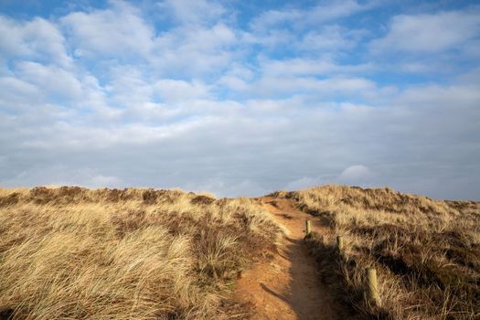 Panoramic image of the landscape along shore of Sylt, North Frisia, Germany 