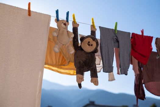 Plush toys monkey and teddy bear are dried on a clothesline after washing