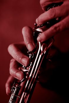 the hands of a musician on the clarinet - an ancient musical wooden instrument popular in classical brass marching jazz folk music, loved by children and adults, amateurs and professionals.. High quality photo