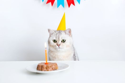 A white cat in a yellow paper cap sits at a white table and looks at a candle in a canned cat cake. Multi-colored flags hang in the background