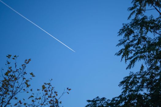 Abstract airplane contrail against clear blue sky towards leaves on trees.
