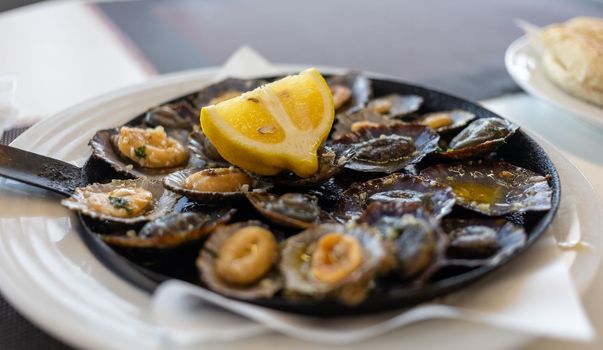 limpets sea fruits grilled on rustic frying pan. High quality photo