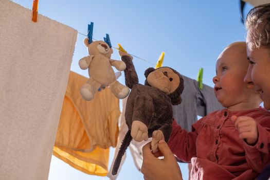 Plush toys monkey and teddy bear are dried on a clothesline after washing