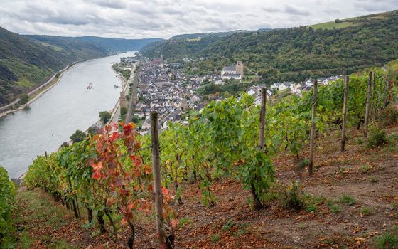 Panoramic image of Oberwesel close to the Rhine river, Rhine valley, Germany