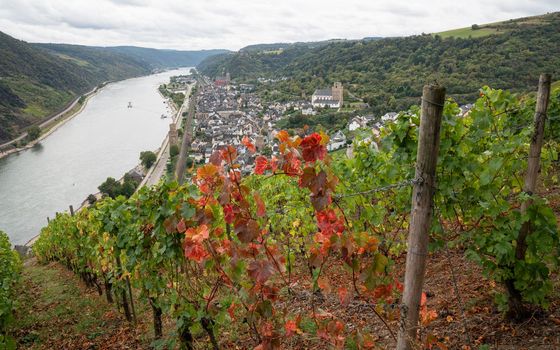 Panoramic image of Oberwesel close to the Rhine river, Rhine valley, Germany