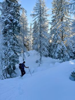 winter hikers climbing uphill trees covered with snow. High quality photo