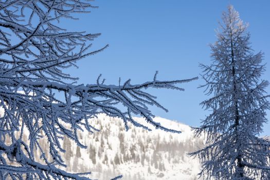 winter mountain landscape peaks and trees snow covered. High quality photo