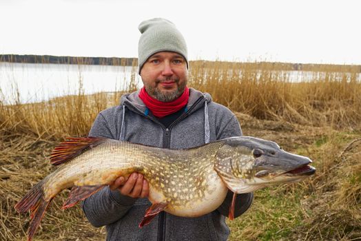 fisherman holding big pike fish. Northern Pike with beautiful natural camouflage. fishing in scandinavia.