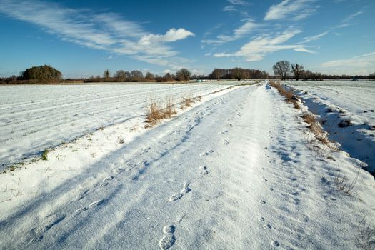 Footprints on a snow-covered road between fields, winter sunny day