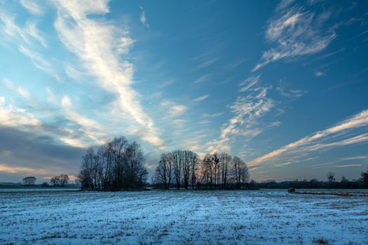 Snow-covered meadow with trees on the horizon and beautiful evening clouds, winter view