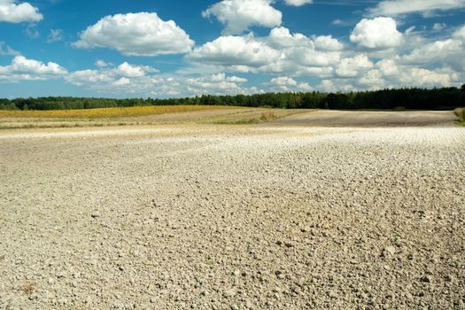 Dry ground on a plowed field in front of a forest and clouds on the sky, summer rural landscape