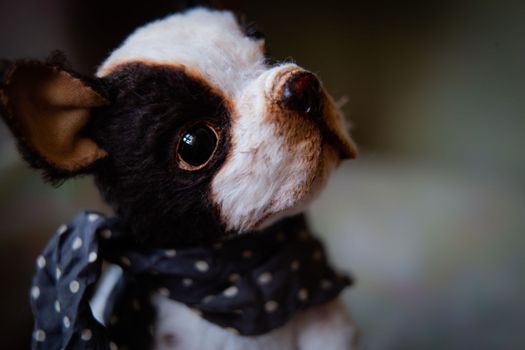 greeting card with cute handmade teddy dog with blue speckled scarf on grey background . High quality photo