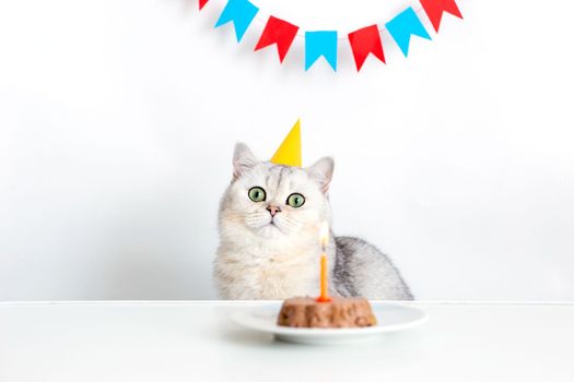 A funny cat in a yellow paper cap sits at a white table with a canned cat cake, on a white saucer and an orange candle. Multi-colored flags hanging in the background