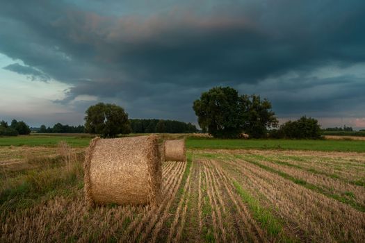 Straw bales in the field and cloudy sky, August rural landscape in eastern Poland