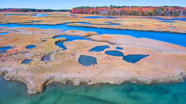 Image of Patches of clear blue water in Maine marshes with fall forests in distance
