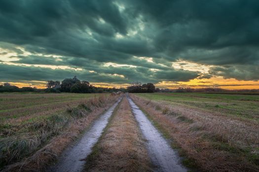 Dirt road through the fields and cloudy sky, September view in eastern Poland