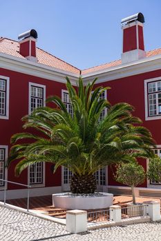 A large beautiful palm tree growing in front of a large beautiful house with burgundy walls, Sines Portugal