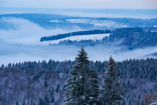 Panorama of the Rhone in snow, winter forest, christmas trees, mountains, from the top of the Wasserkuppe, Hessen, Germany High quality photo