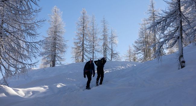 winter hikers climbing uphill trees covered with snow. High quality photo