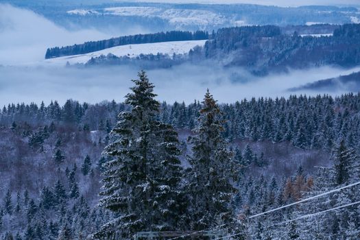 Panorama of the Rhone in snow, winter forest, christmas trees, mountains, from the top of the Wasserkuppe, Hessen, Germany High quality photo