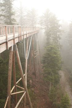 bridge in magic fog, mystic landscape under the brifge, fog macke illusion. High quality photo