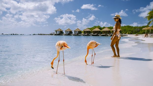 Aruba beach with pink flamingos at the beach, flamingo at the beach in Aruba Island Caribbean. A colorful flamingo at the beachfront, a couple of men and woman on the beach mid age man and woman