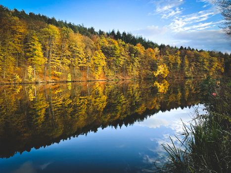 A forest lake surrounded by autumn foliage wallpaper. Forest lake in autumn background. Autumn forest lake postcard. Forest lake in autumn landscape in Marbach Fulda Hesse Germany. High quality photo