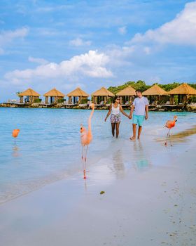 Aruba beach with pink flamingos at the beach, flamingo at the beach in Aruba Island Caribbean. A colorful flamingo at the beachfront, a couple of men and woman on the beach mid age man and woman