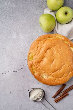Traditional charlotte apple pie charlotte on concrete table with fresh apple and cinnamon , view from above