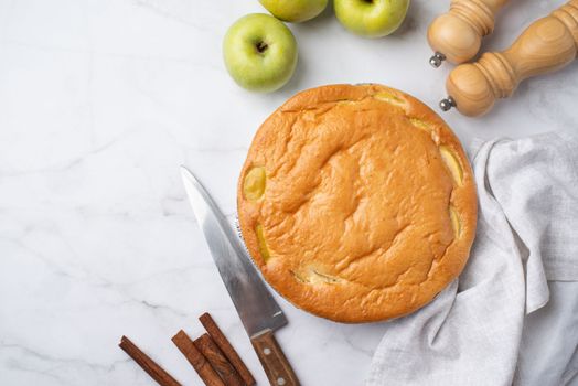 Traditional charlotte apple pie charlotte on concrete table with fresh apple and cinnamon , view from above