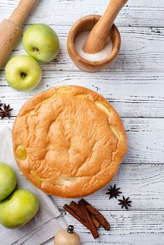 Traditional charlotte apple pie charlotte on white wooden table with fresh apple and cinnamon , view from above