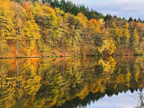 A forest lake surrounded by autumn foliage wallpaper. Forest lake in autumn background. Autumn forest lake postcard. Forest lake in autumn landscape in Marbach Fulda Hesse Germany. High quality photo