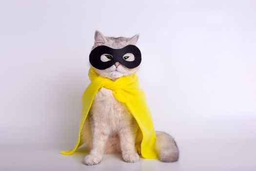 A sly white cat with green eyes, wearing a yellow raincoat and a black mask, sits on a white background. Copy space